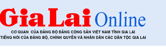 https://baogialai.com.vn/