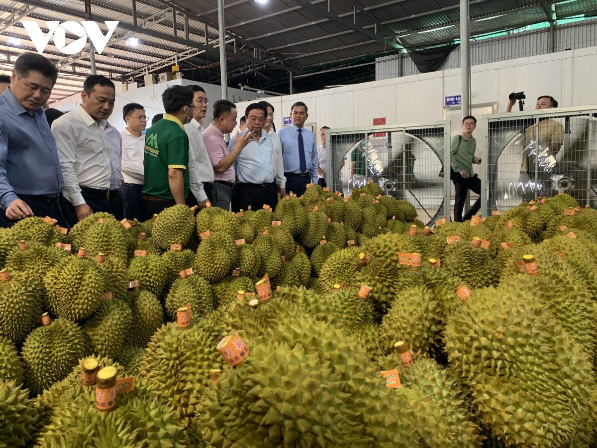 giao thong o tay nguyen kho khan chi phi van tai cao va kho dap ung duoc viec giao nhanh nong san tuoi voi so luong lon jpeg