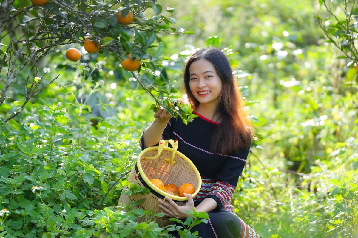 rau qua xu lanh o vung dat tinh khoi trong lanh mang den co chat luong dac biet dang cho cai thien giao thong